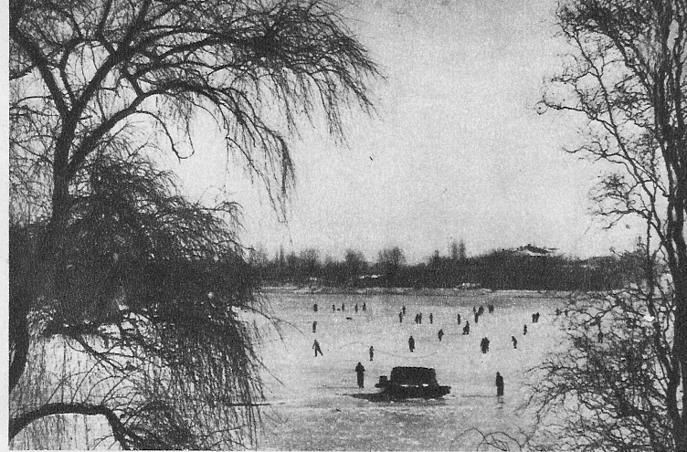 Lacul Floreasca
