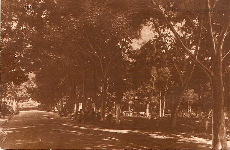 Parcul Central