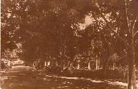 Parcul Central