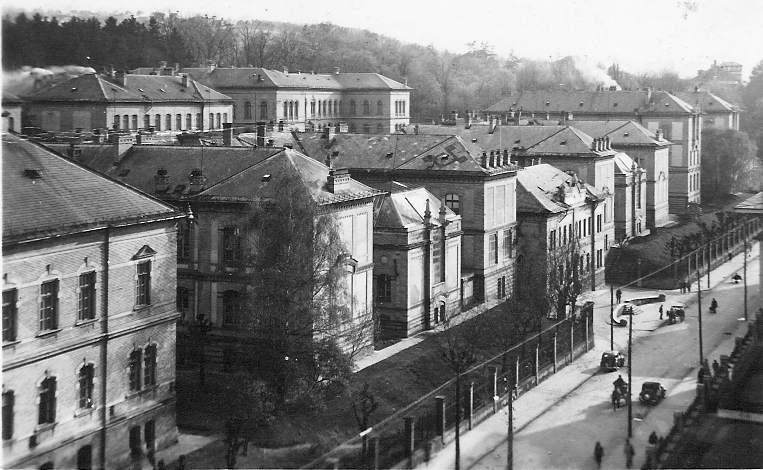 Clinicile Universității Regele Ferdinand 